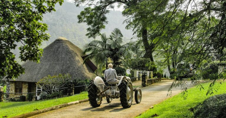 découvrez notre sélection d'hôtels économiques offrant confort et qualité. profitez de votre séjour sans vous ruiner avec nos meilleurs conseils pour trouver des hôtels pas chers qui répondent à vos attentes.