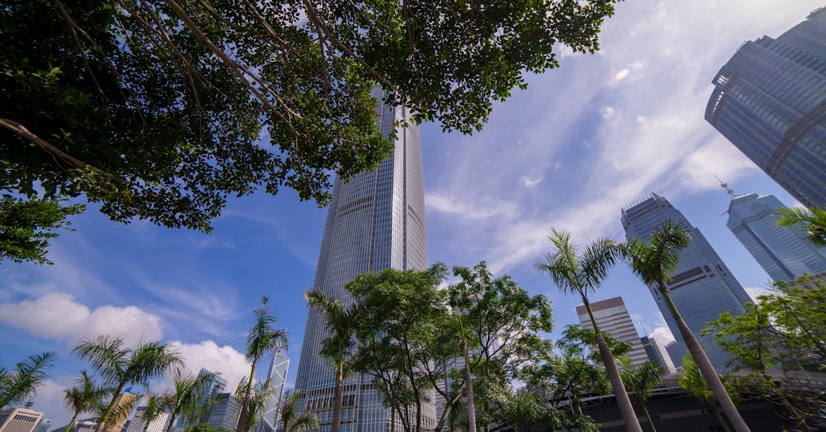 découvrez les meilleurs hôtels au centre-ville de barcelone pour un séjour inoubliable, proche des attractions principales et des transports.