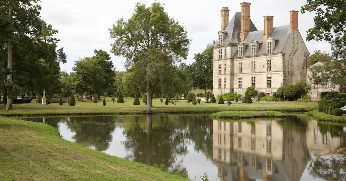 découvrez l'hôtel de ville de la rochelle, un bâtiment historique au cœur de la ville, symbole de l'administration locale et de son patrimoine culturel.