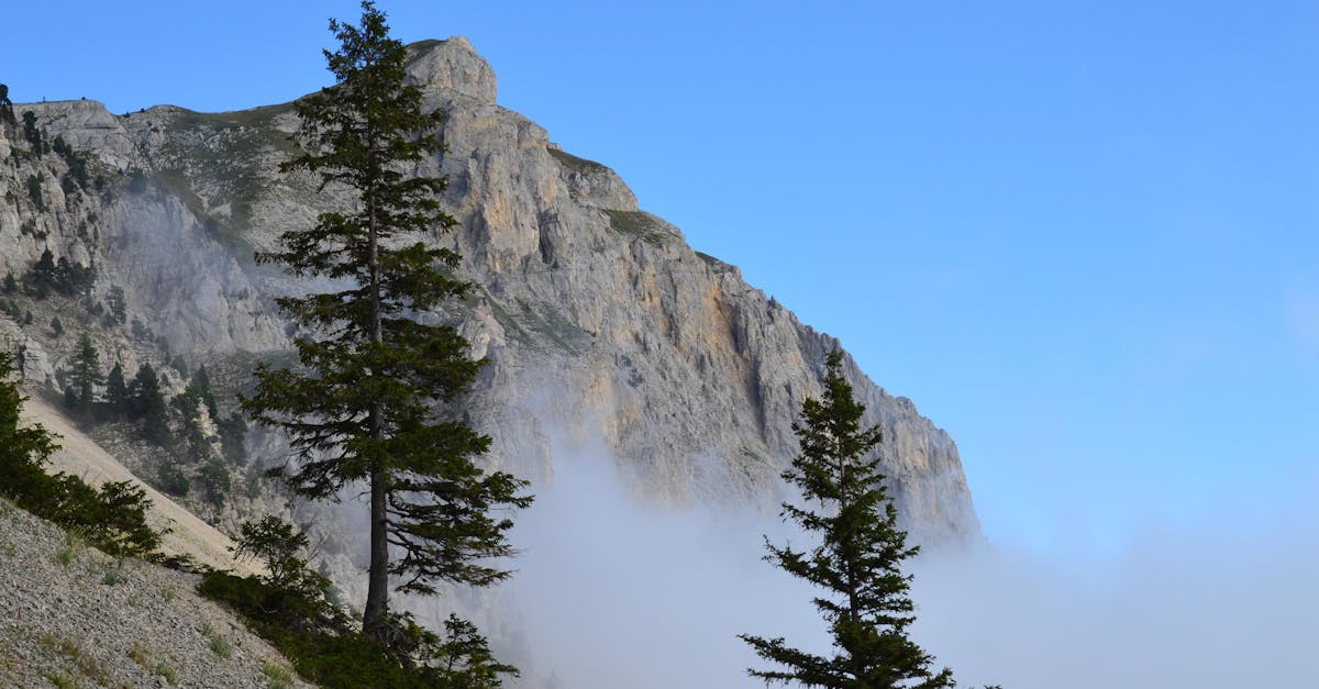 découvrez mercure marcq-en-barœul, un hôtel confortable et moderne idéalement situé pour un séjour d'affaires ou de loisirs à marcq-en-barœul.