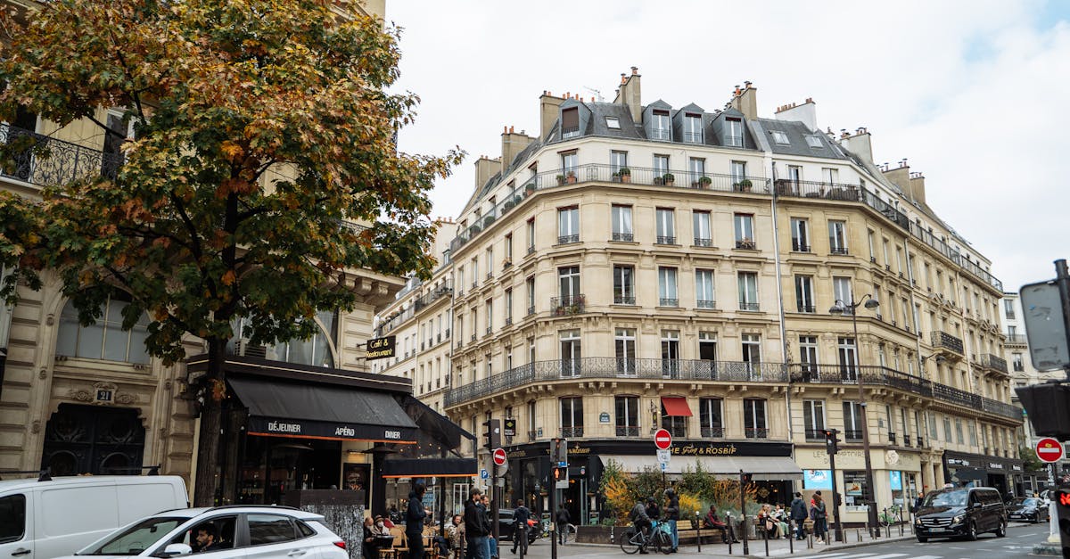 découvrez urban jungle hotel paris, un hôtel unique au cœur de la capitale, alliant design nature et confort moderne pour une expérience urbaine authentique.